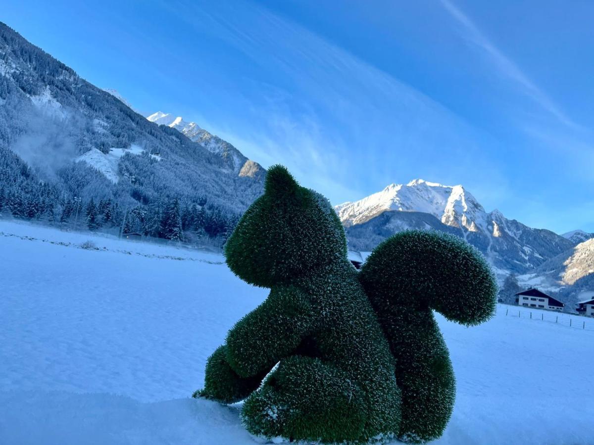 Ferienwohnung Rita Kroell Mayrhofen Luaran gambar